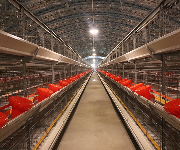 3120-40籠具