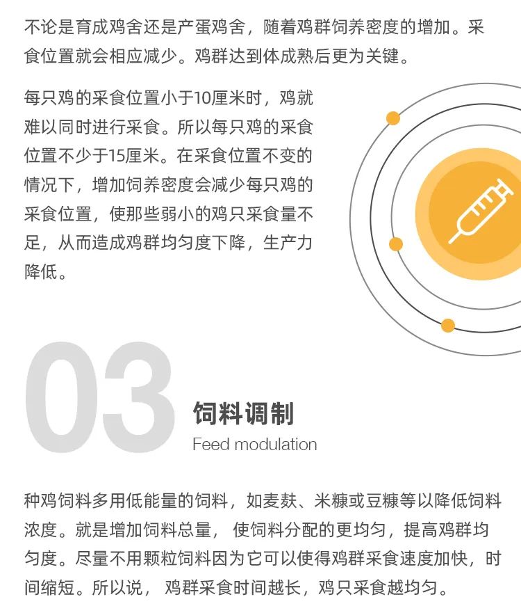 養(yǎng)雞設(shè)備廠家